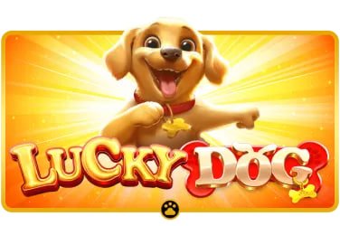 wim88 Live Casino